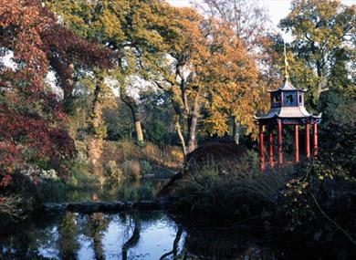 Bracknell Park