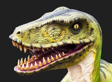 Dinosaur Day, Dover
