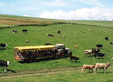 Coombes Farm Tours