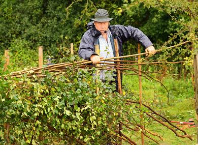 Countryside skills on display at the 2024 CPRE Sussex Countryside Day