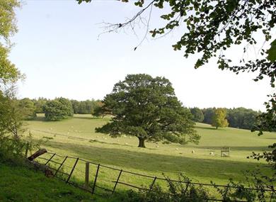 The Chiltern Hills at Great Missenden