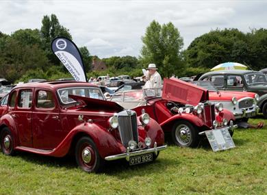 lined up red vintage cars