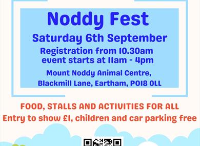 Noddy fest flyer