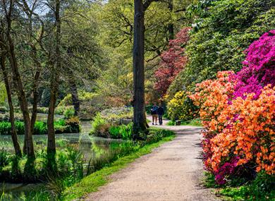 Leonardslee Gardens