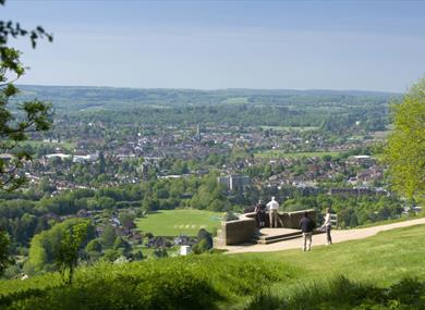 View from Box Hill