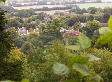 Selborne