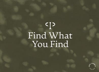 Find what you Find banner