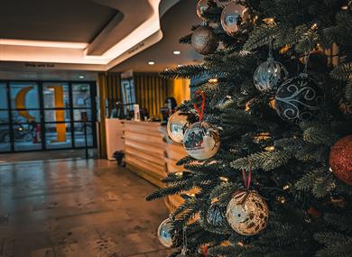 Christmas Tree in Pallant House Gallery