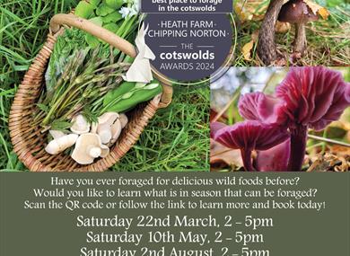 Foraging at Heath Farm