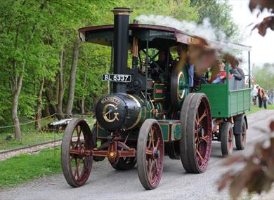Halloween and Autumn Steam up