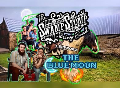 The Swamp Stomp String Band