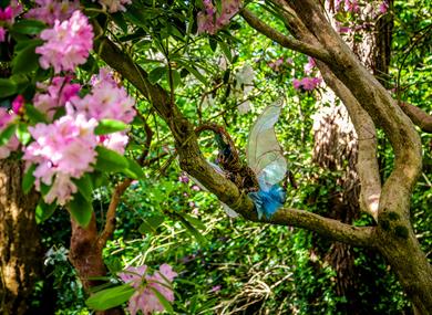 Fairy and Dragon Trail