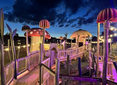 Illuminated Evenings 2025