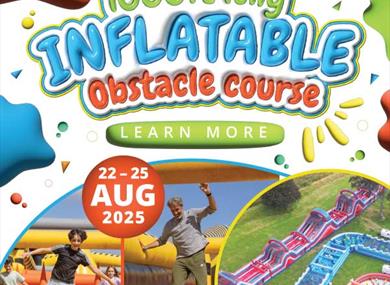 The Labyrinth challenge