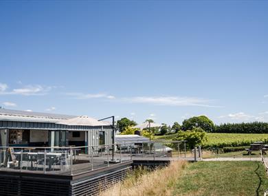 Albourne Estate Vineyard