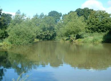 Uckfield