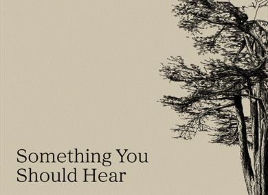 Something you should hear banner