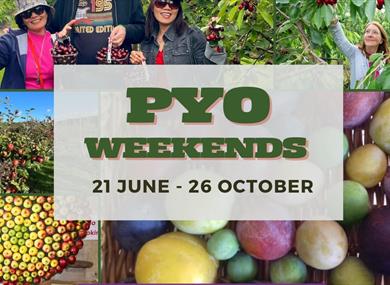 Pick-Your-Own-Fruit weekends