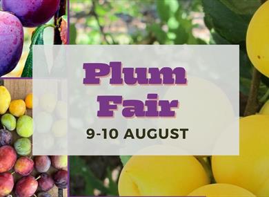 Plum Fair