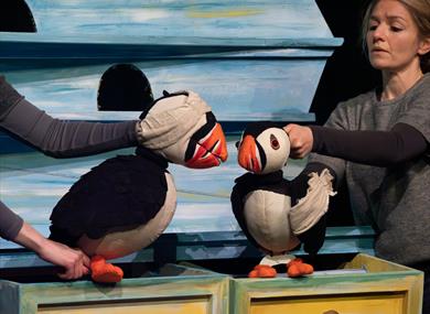 Puffling Percy