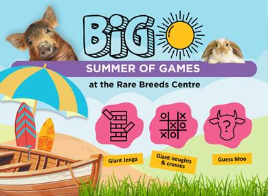 big summer of games graphic