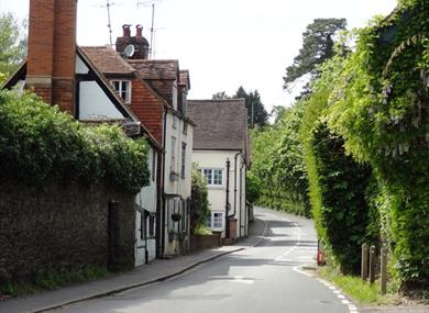Shere Village