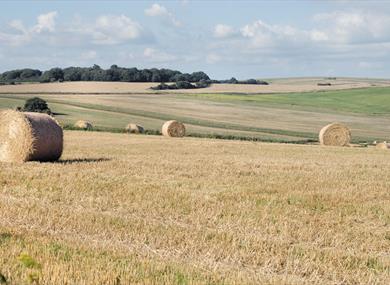 South Downs