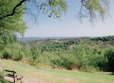 Haslemere Walking Festival