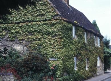 Tackley
