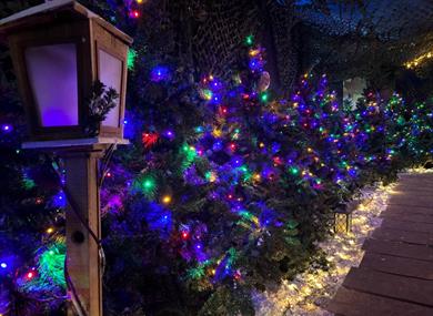 Award-Winning Experience Christmas at Kent Life
