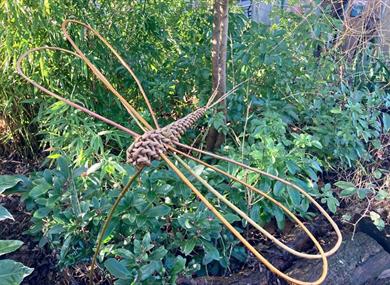 Dragonfly Willow Weaving