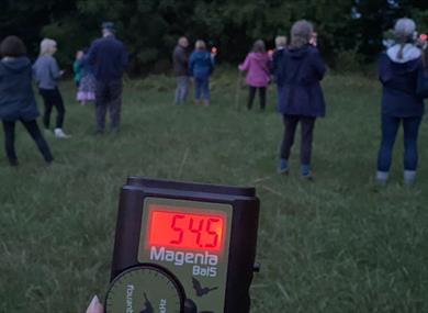 Moth and Bat Night