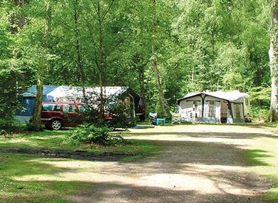 Wellington Country Park - Caravan & Campsite