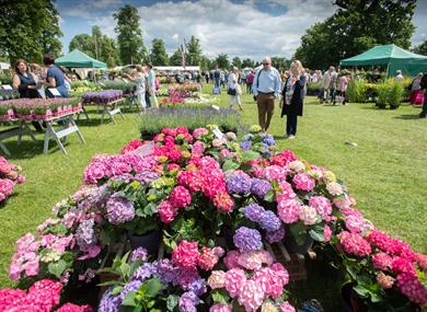 Blenheim Palace annual flower show in June