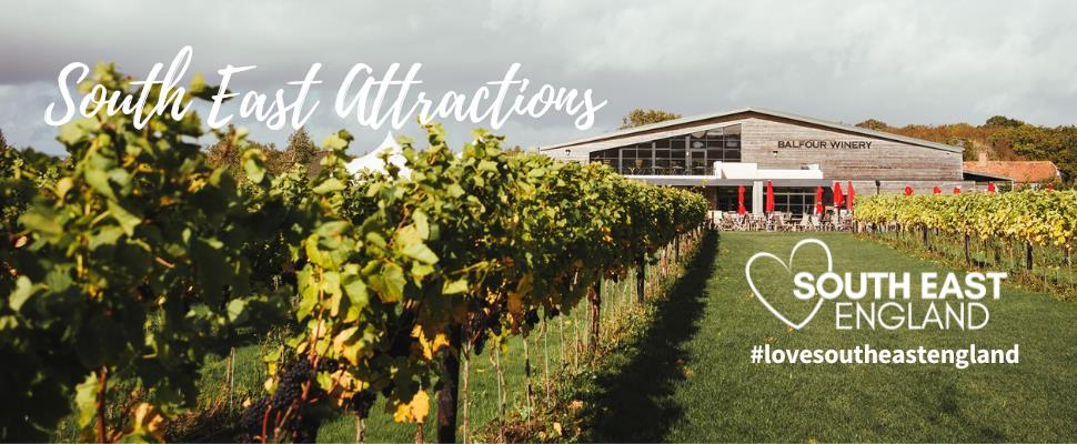 Vineyard Tourist Attractions in South East England