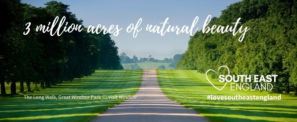 Discover the South's, 3 million acres of natural beauty, including the Long Walk, Windsor part of Great Windsor Park