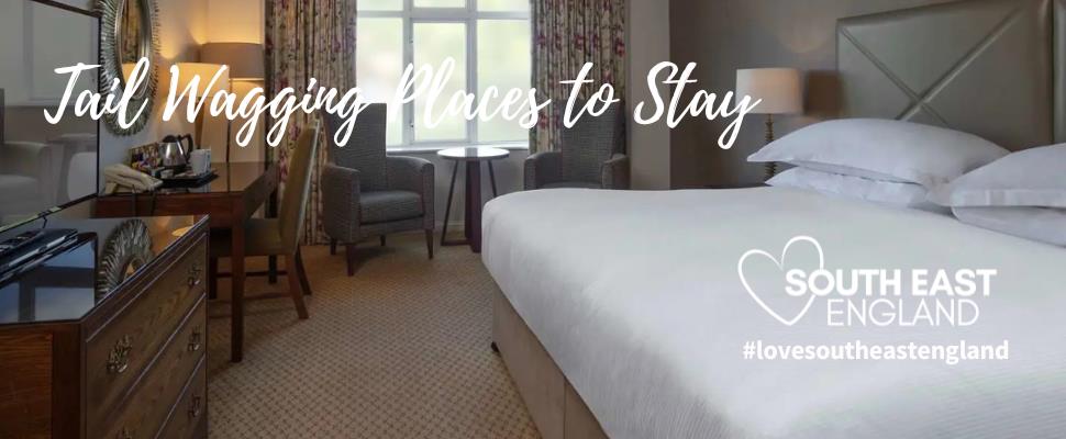 Take your four legged friend with you on your next stay in Oxfordshire to the Doubletree by Hilton Oxford Belfry.