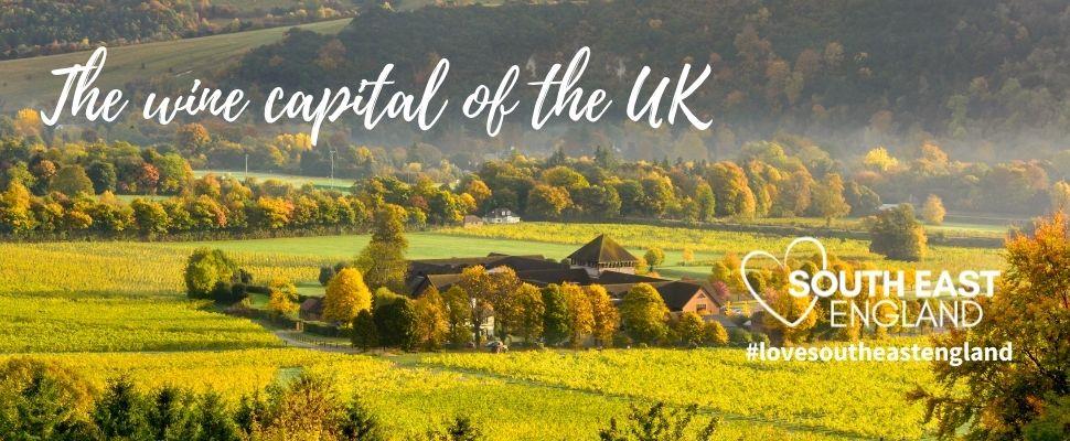 Denbies Wine Estate - one of the largest vineyards in the South East