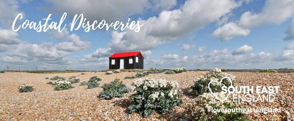 Rye Harbour Nature Reserve in East Sussex