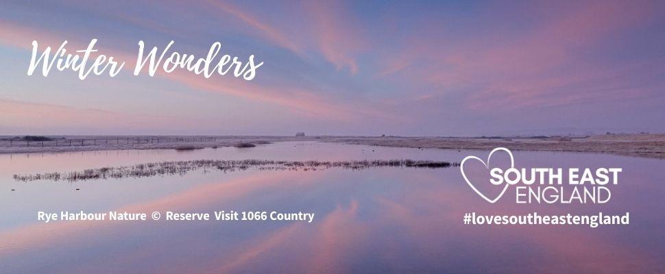 Rye Harbour Nature Reserve