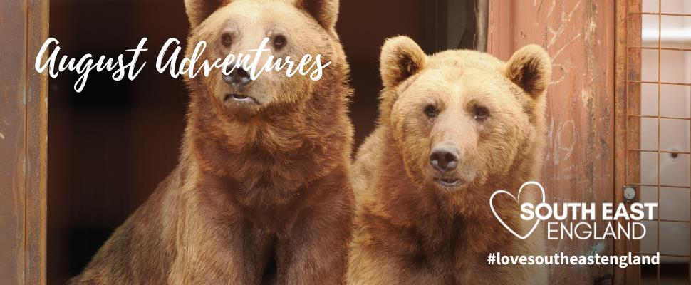 Discover an array of fantastic events, shows, and festivals to celebrate the August Bank Holiday weekend.