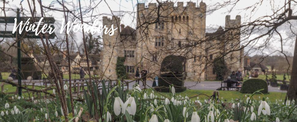 Places to see the snowdrops | South East England