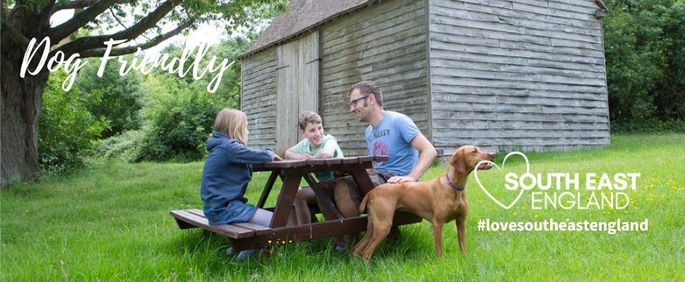 Dog friendly family days out best sale near me