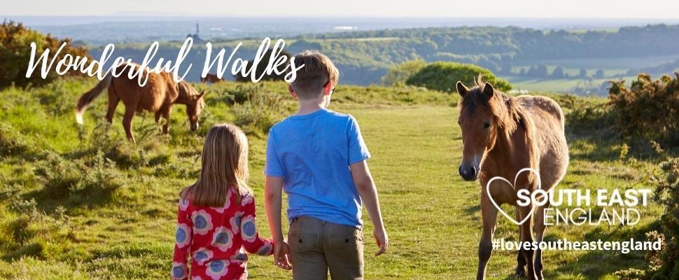 Cissbury Ring, just north of the coastal town of Worthing, is one of the jewels in the crown of the new South Downs National Park