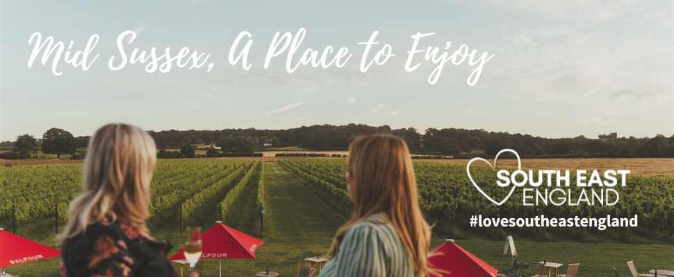 Set in the heart of rural Sussex lies Bolney Wine Estate, one of England’s oldest and most beautiful vineyards. A three-generation family business that has been guided by nature since 1972 when our first vines were planted.