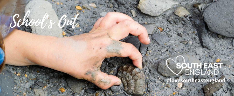 Guided Fossil hunting on the Isle of Wight with Dinosaur Isle