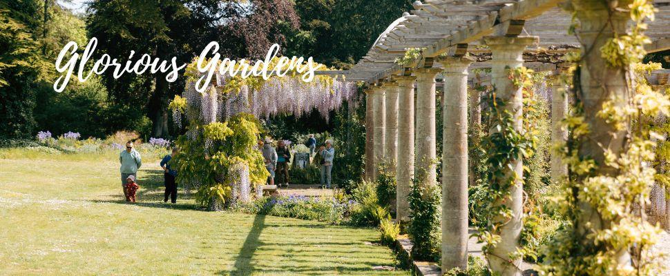 The stunning 100 meter long Edwardian Pergola at West Dean Gardens in West Sussex