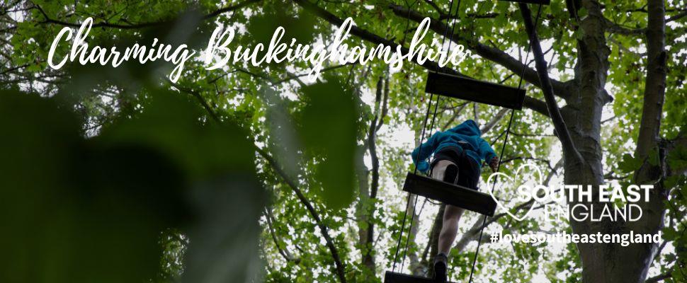 Go Ape in Wendover Woods, Aylesbury, Buckinghamshire