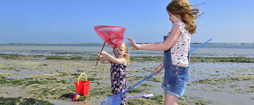 Holywell Beach