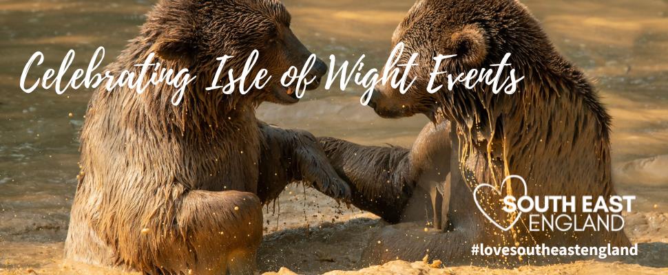 Bear Photography Workshops at Wildheart Animal Sanctuary | Sandown, Various dates